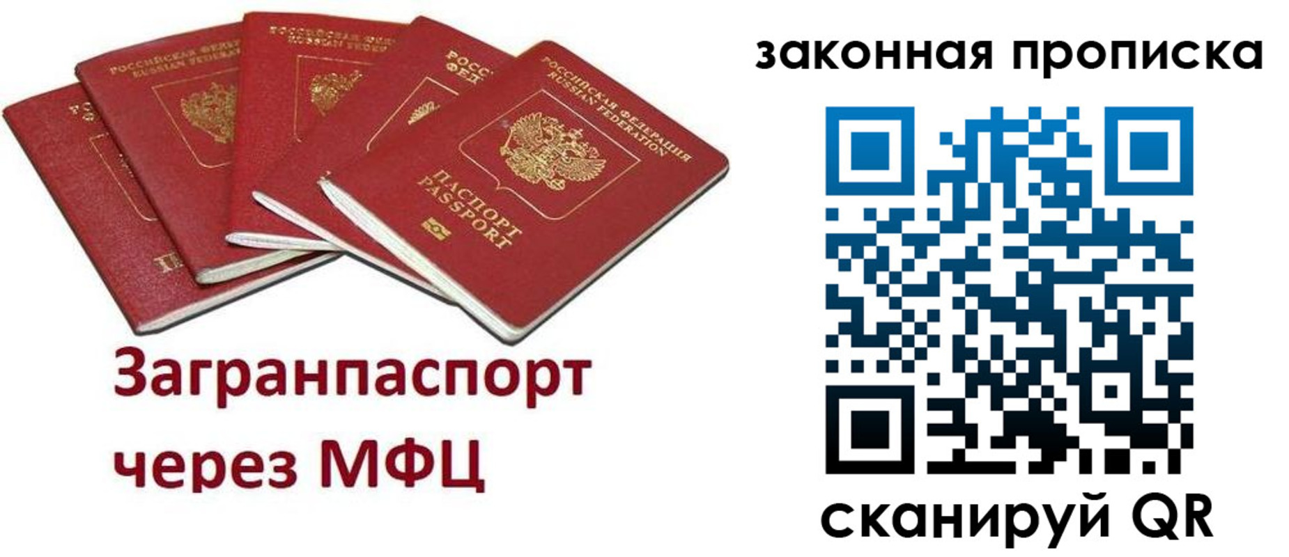 временная регистрация поиск в Железногорске